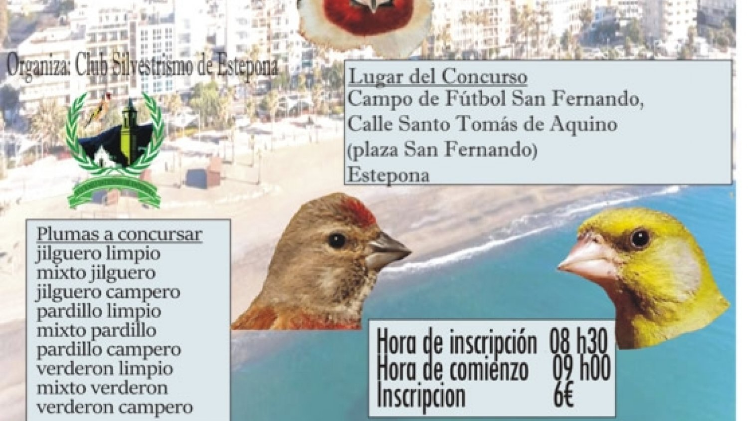 Estepona acoge este domingo el III Concurso de Silvestrismo en el que participarán más de 400 pájaros
