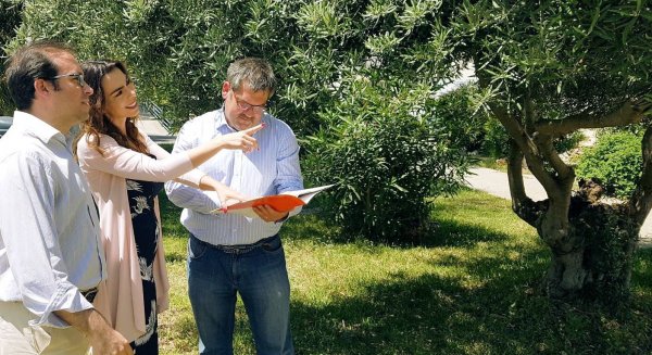 Ciudadanos propone reconvertir el pulmón verde de La Noria en un entorno de esparcimiento público abierto todo el año