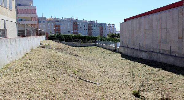 El Ayuntamiento adjudica las obras de construcción del primer huerto urbano escolar en la ciudad