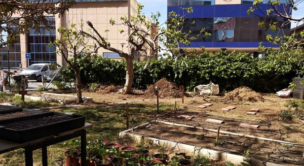 La UMA mejora la gestión de los espacios cultivados del campus