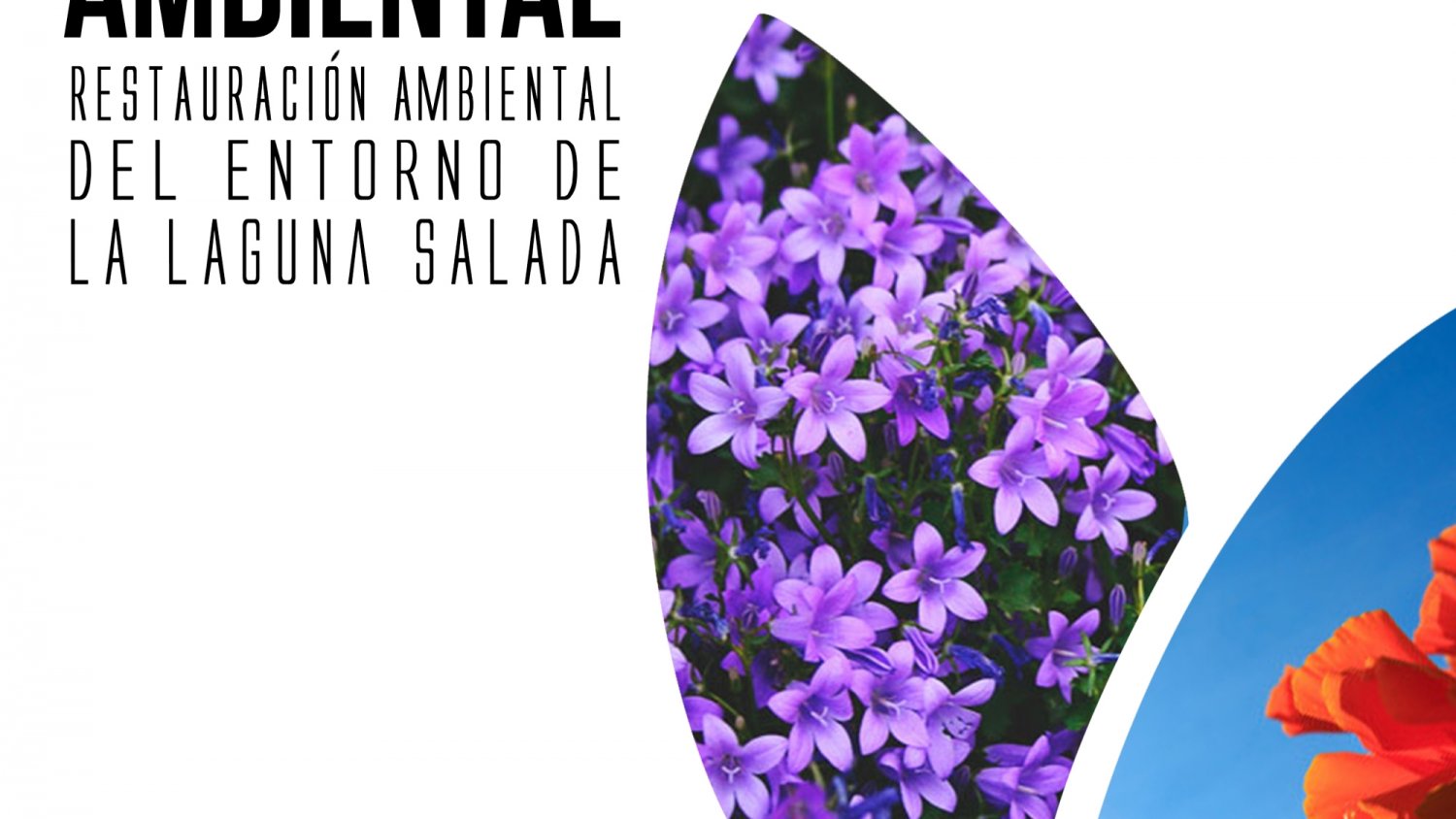 Alumnos de secundaria participan en una jornada de reforestación