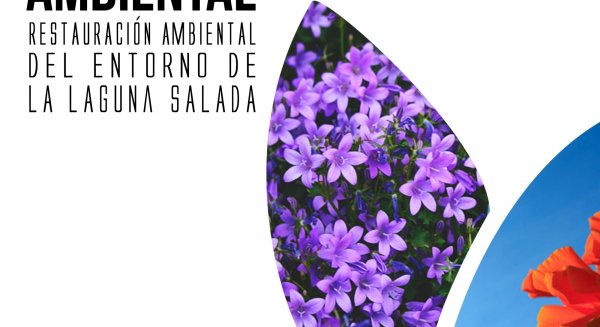 Alumnos de secundaria participan en una jornada de reforestación
