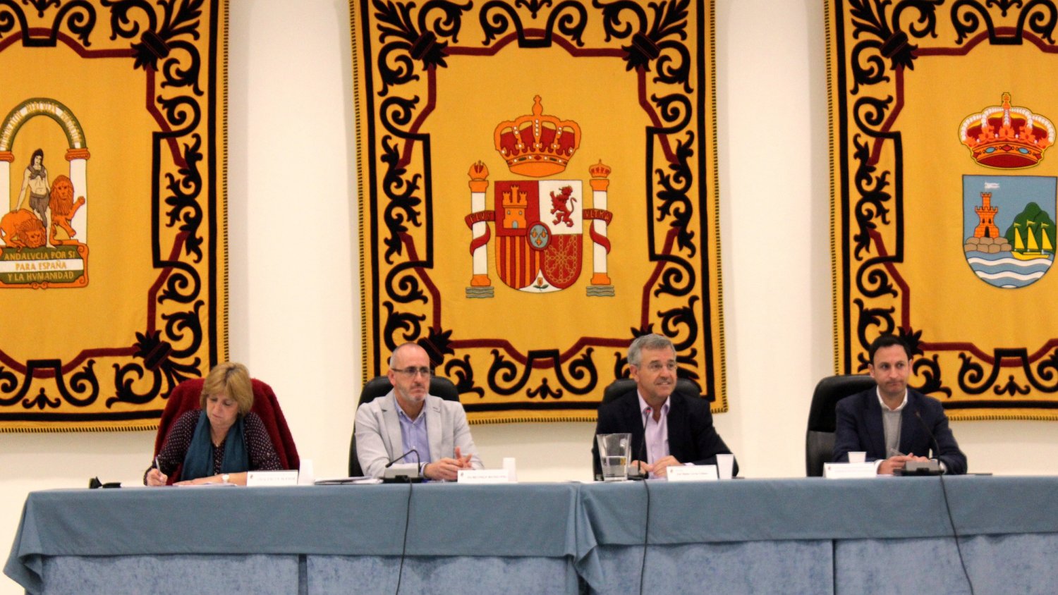 El Pleno aprueba por unanimidad la declaración de interés público municipal de la asociación Aprona