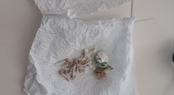 La Policía Nacional desmantela un punto de venta de droga y detiene a uno de los responsables