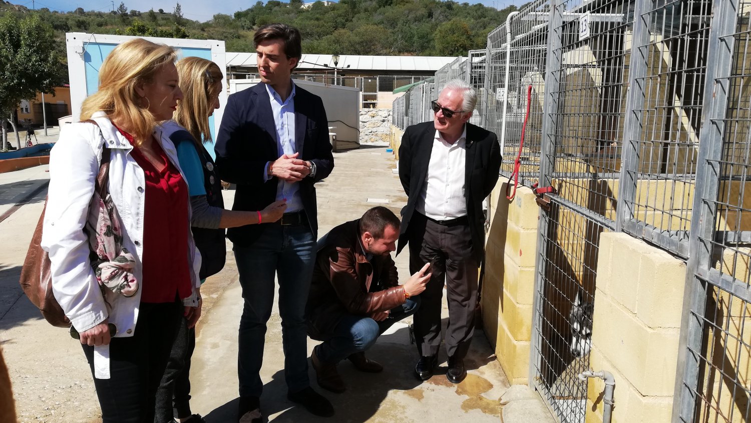 Montesinos apela a los malagueños para que colaboren con la protectora de animales
