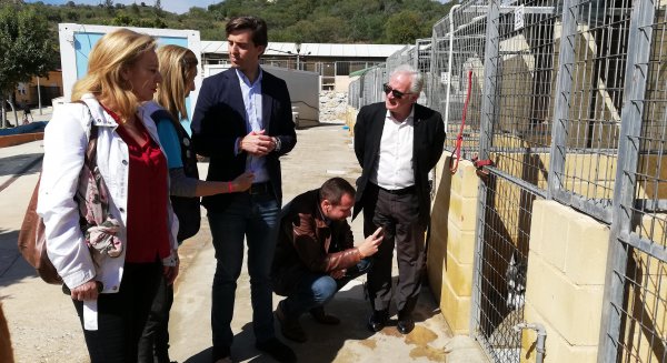 Montesinos apela a los malagueños para que colaboren con la protectora de animales