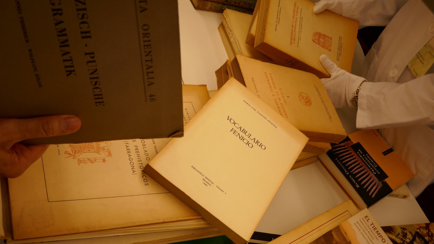 El Museo de Málaga recibe una donación de 348 volúmenes bibliográficos