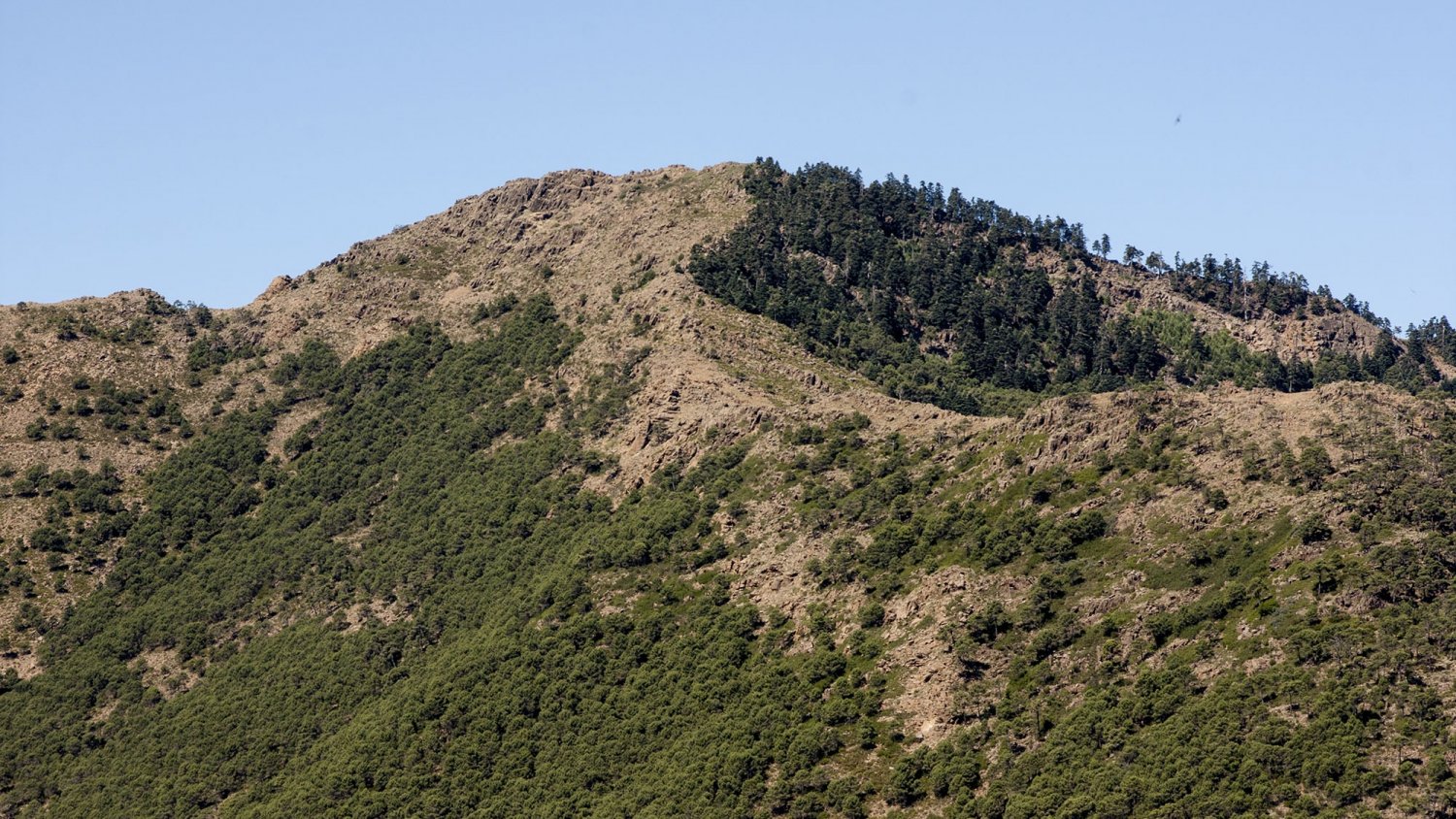 Vuelven las rutas de interpretación histórica con un recorrido por el entorno de Sierra Bermeja