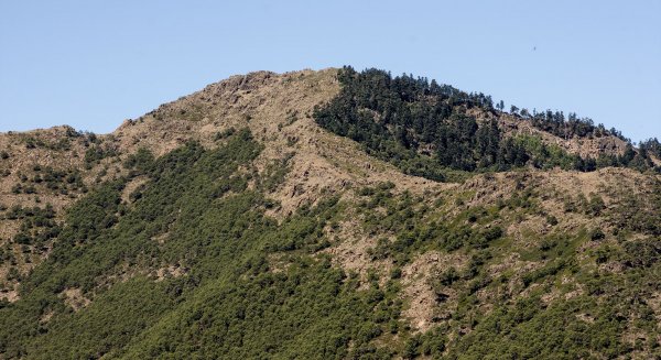 Vuelven las rutas de interpretación histórica con un recorrido por el entorno de Sierra Bermeja