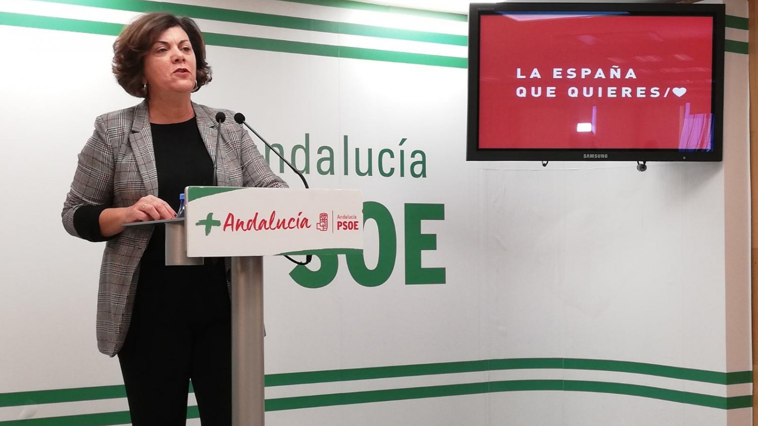 El PSOE acusa al gobierno andaluz de mentir sobre la Ley de Dependencia