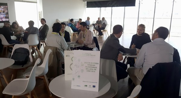 Ocho empresas andaluzas presentes en el festival ‘Spanish Screenings-Málaga de Cine 2019’