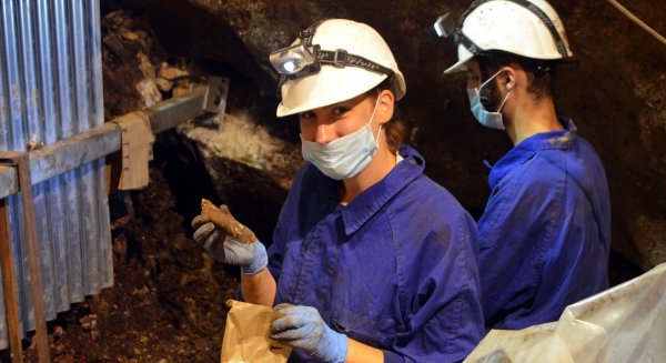 La UMA participa en una investigación que reconstruye el mapa genético de la Península Ibérica