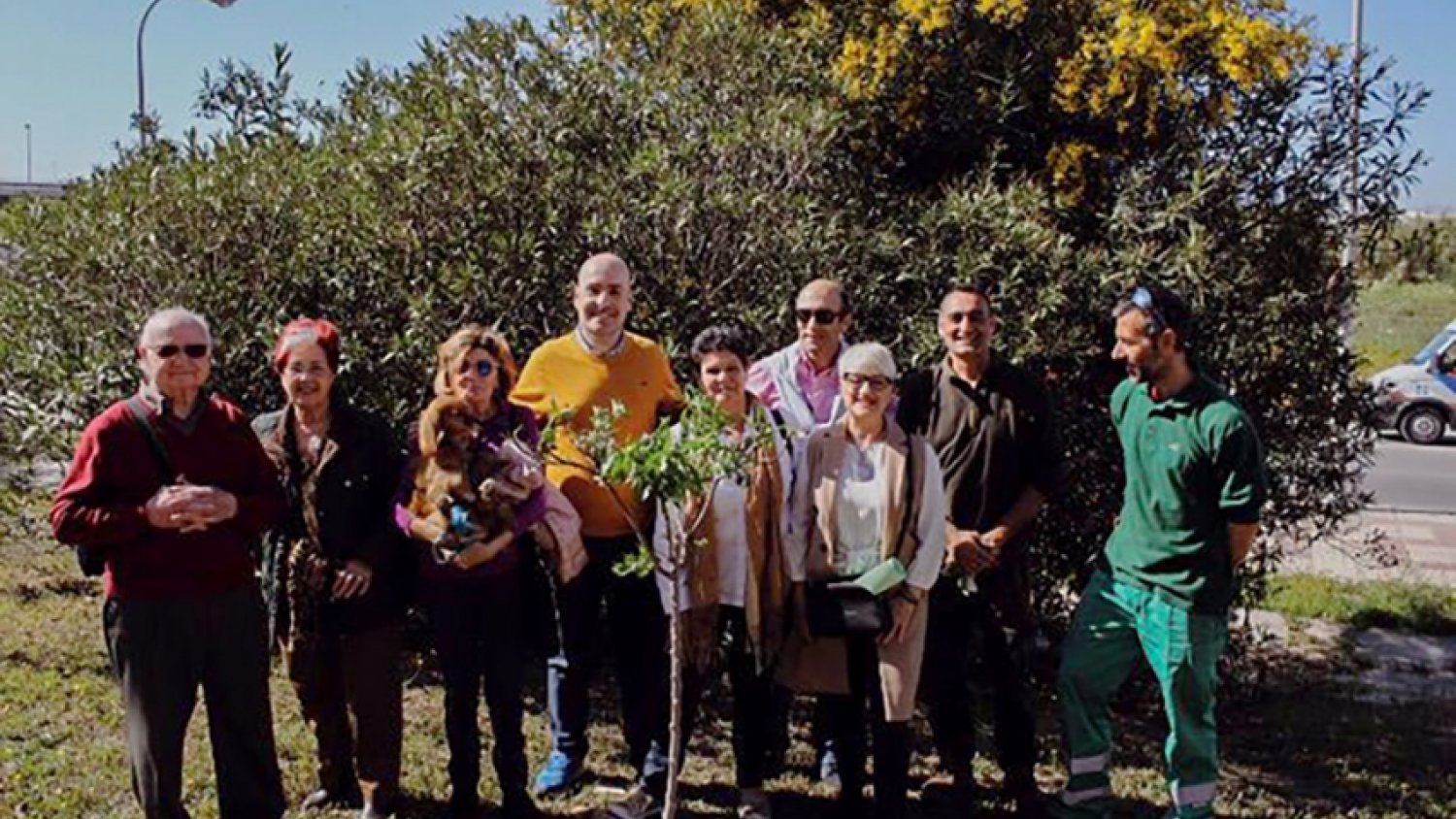 III plantación de almendros en memoria del accidente nuclear de Fukushima