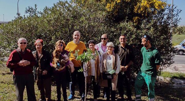 III plantación de almendros en memoria del accidente nuclear de Fukushima