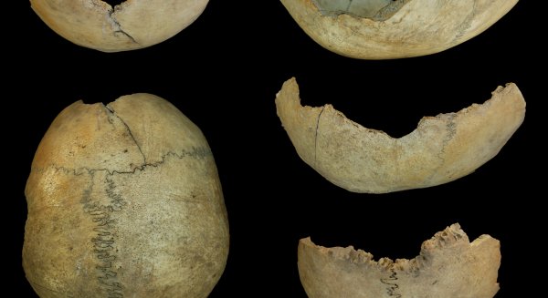 Los hallazgos arqueológicos en la Cueva de El Toro revelan prácticas de canibalismo en el Neolítico Antiguo
