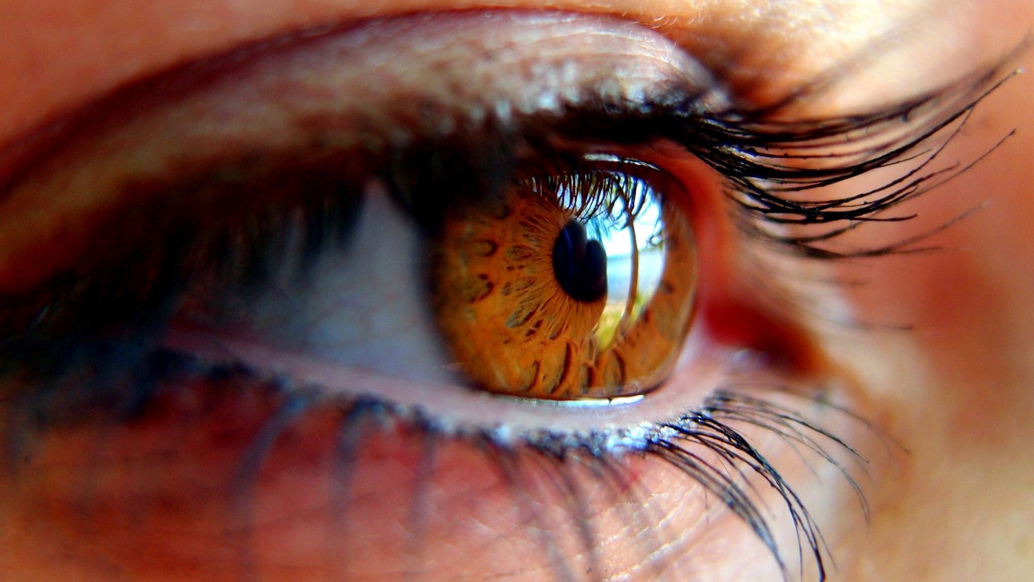 ¿Cómo afecta el Glaucoma a las mujeres?