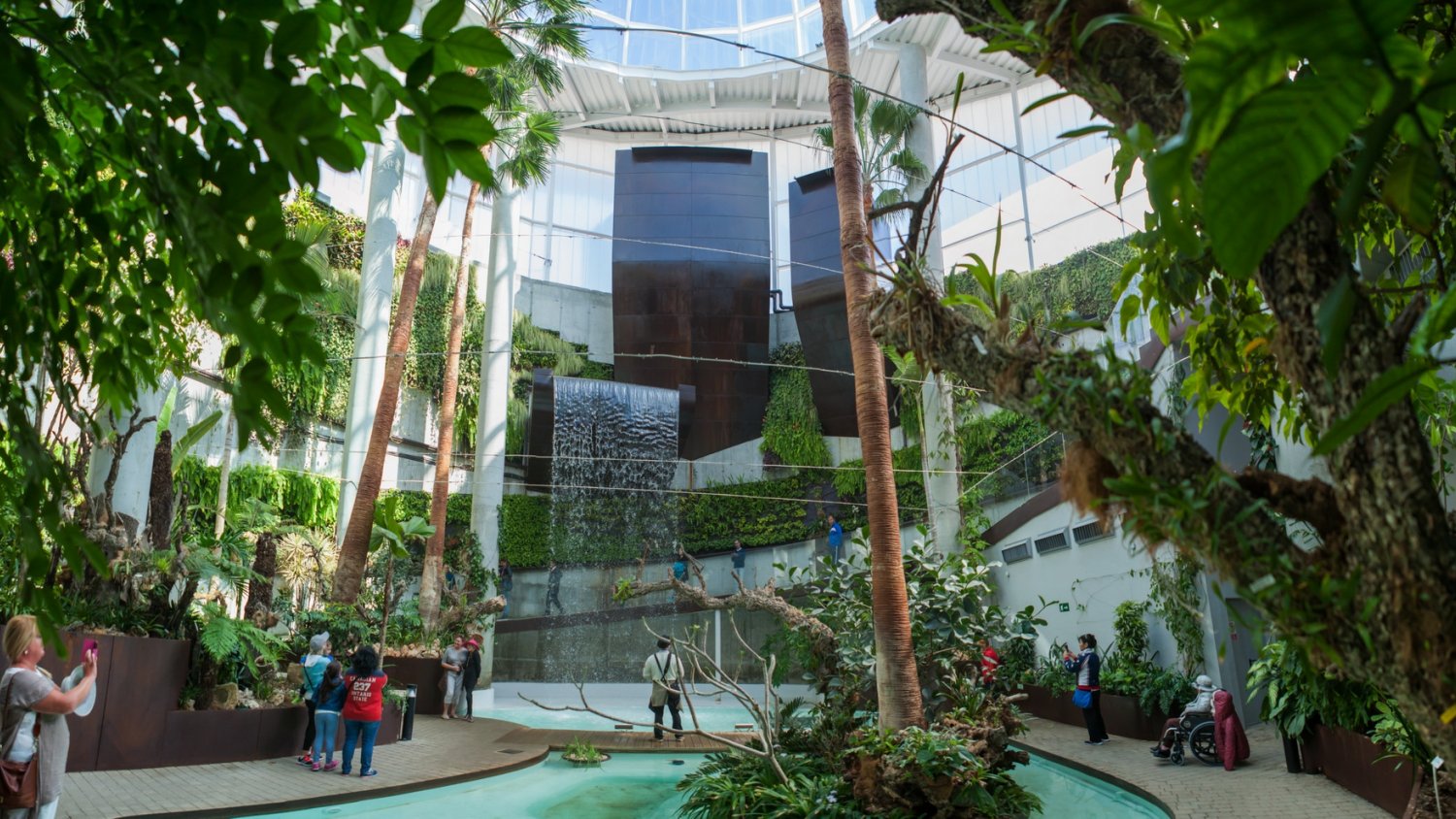 El Parque Botánico-Orquidario será la primera sede española del Consejo Europeo de la Orquídea