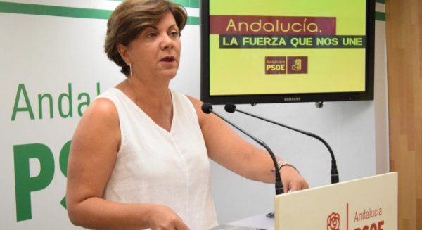 El PSOE llama a 
