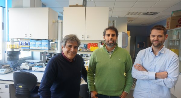 Investigadores malagueños descubren un nuevo factor asociado al desarrollo de la diabetes tipo 2