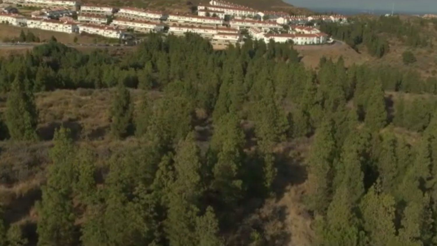 El PP exigirá la preservación del bosque de pinos existente entre El Hipódromo y El Chaparral