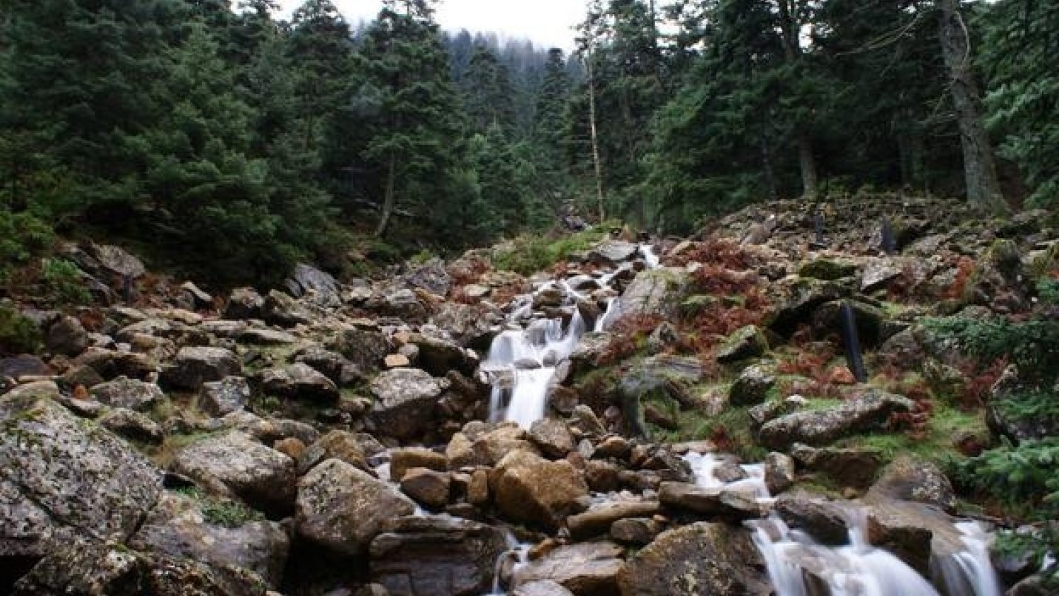 Marcha senderista para reivindicar Sierra Bermeja como Parque Nacional