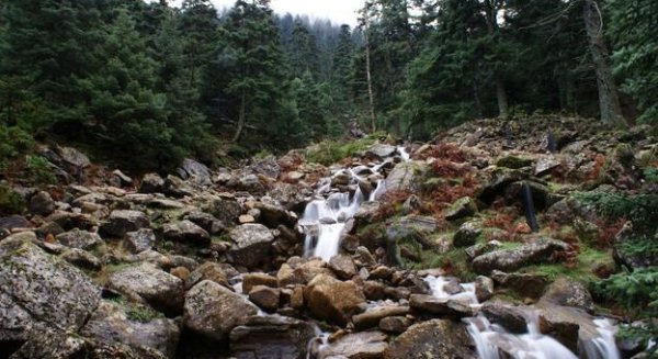 Marcha senderista para reivindicar Sierra Bermeja como Parque Nacional