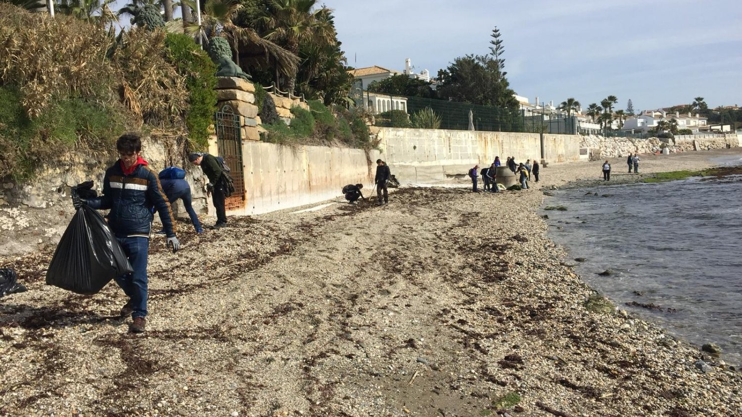 Voluntarios de la UMA y ecologistas limpian las playas de Mijas