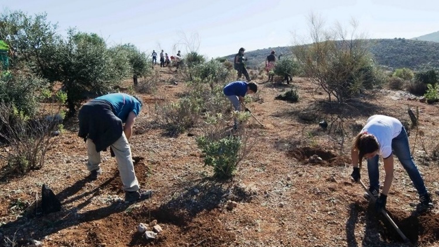 La Diputación retoma las plantaciones participativas con actividades en Torrox, Istán y Fuengirola