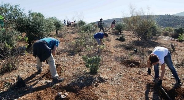 La Diputación retoma las plantaciones participativas con actividades en Torrox, Istán y Fuengirola