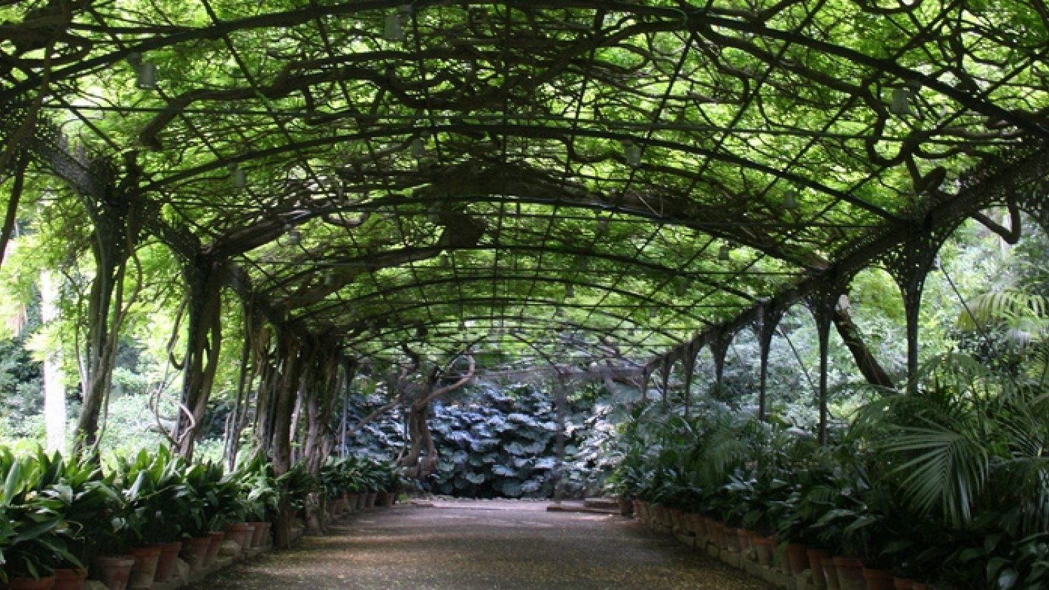 El Jardín Botánico de la Concepción se conecta a las redes municipales de saneamiento