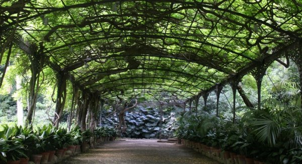 El Jardín Botánico de la Concepción se conecta a las redes municipales de saneamiento