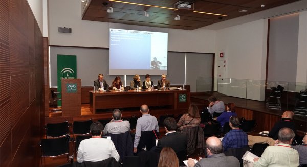 Expertos internacionales analizan los tsunamis históricos en la península ibérica