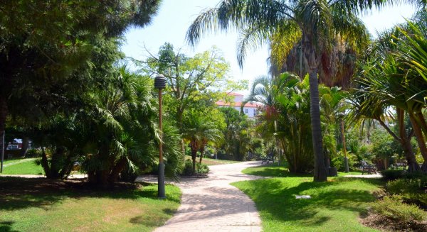 Estepona avanza en el ‘Plan Árbol’ con la plantación de más de 300 ejemplares