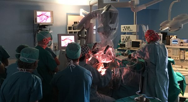 Málaga acoge la celebración de una reunión internacional de Neurocirugía