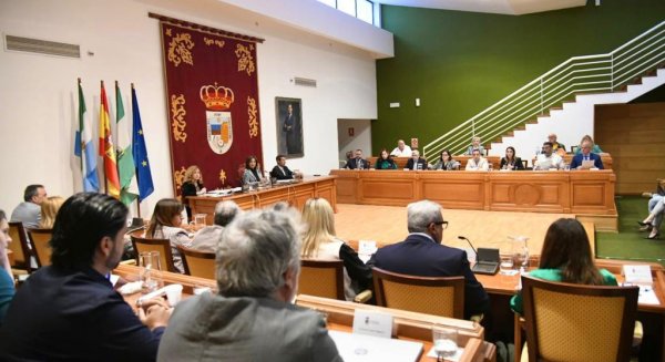 El Pleno aprueba por unanimidad la adhesión de Torremolinos al Pacto Andaluz por la Accesibilidad