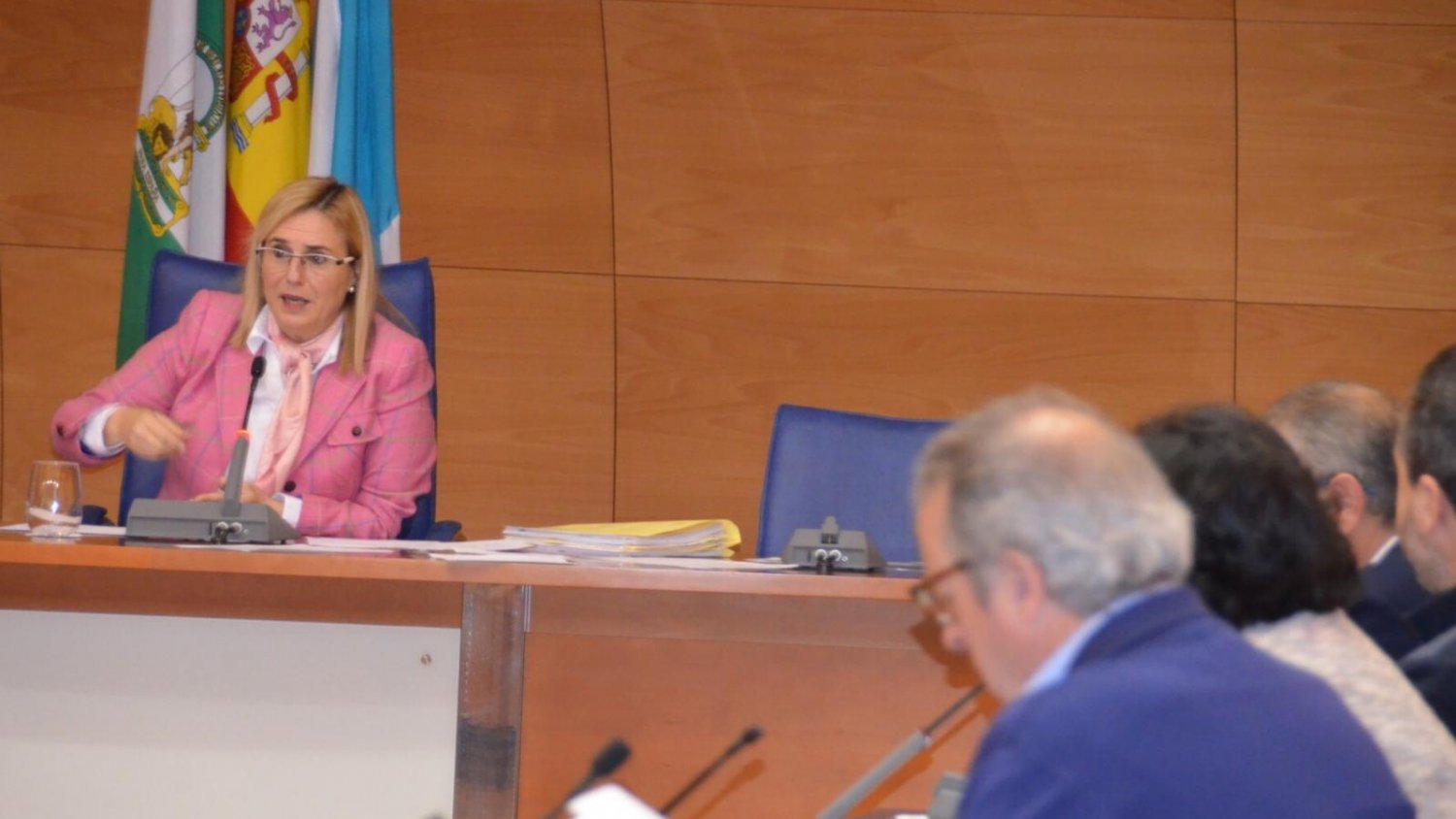 El Pleno de Fuengirola aprueba que el abono de las tasas por licencias de apertura se pueda fraccionar