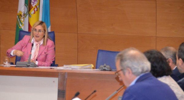 El Pleno de Fuengirola aprueba que el abono de las tasas por licencias de apertura se pueda fraccionar