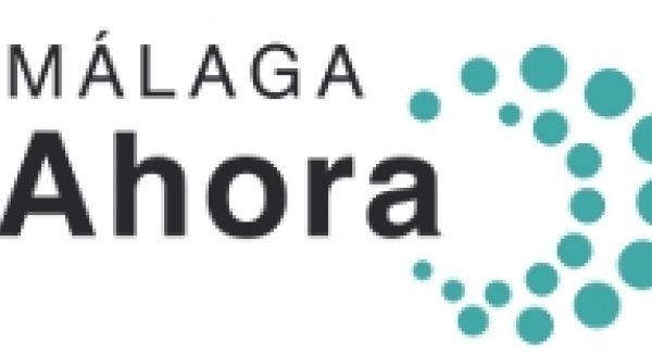 Las cuentas de los grupos de la Diputación: sin control ni transparencia