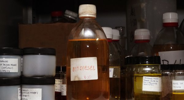 Investigadores desarrollan nuevos biocombustibles alternativos