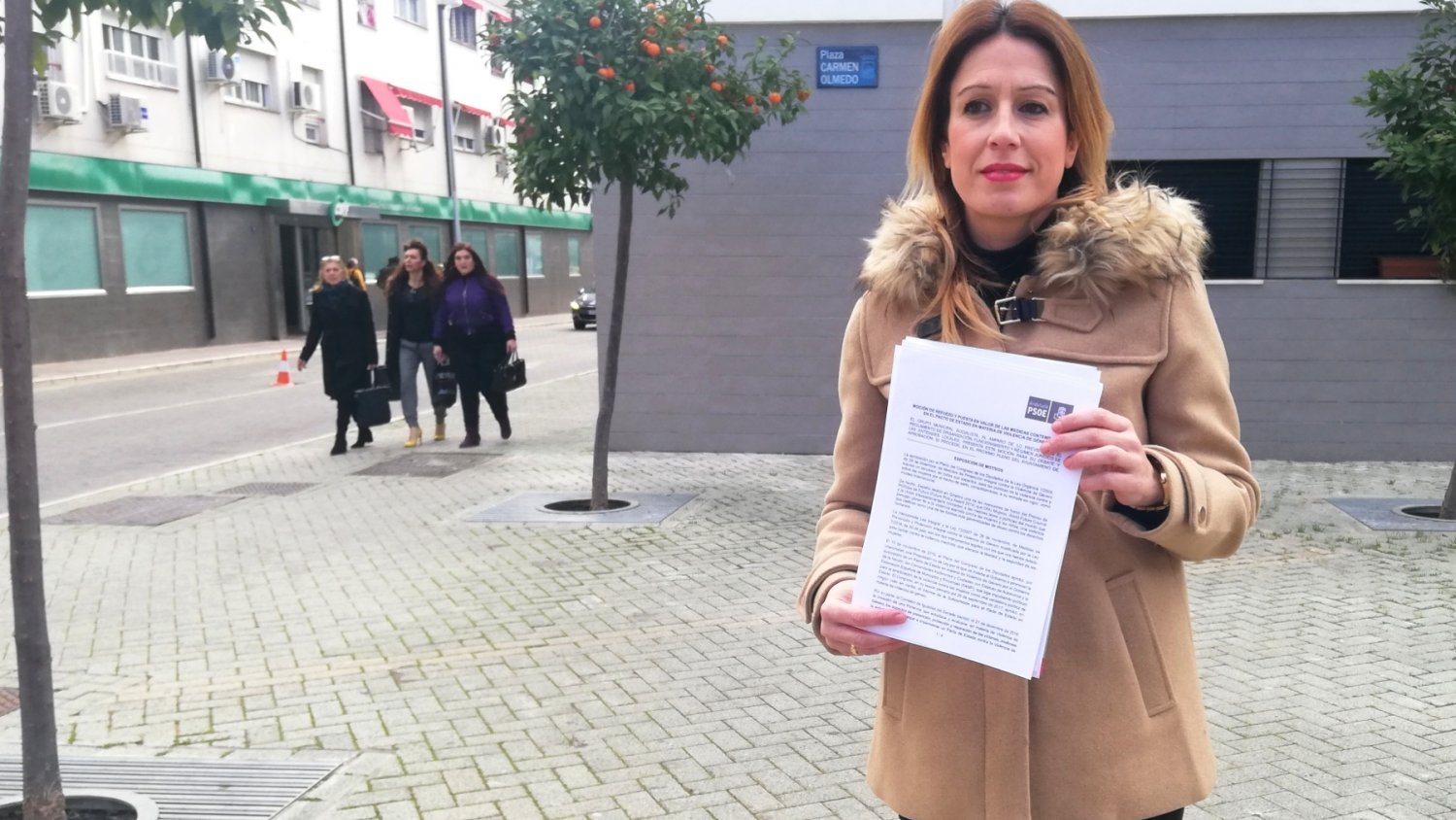 PSOE pide en los ayuntamientos y Diputación que todos los partidos respalden las medidas del Pacto de Estado