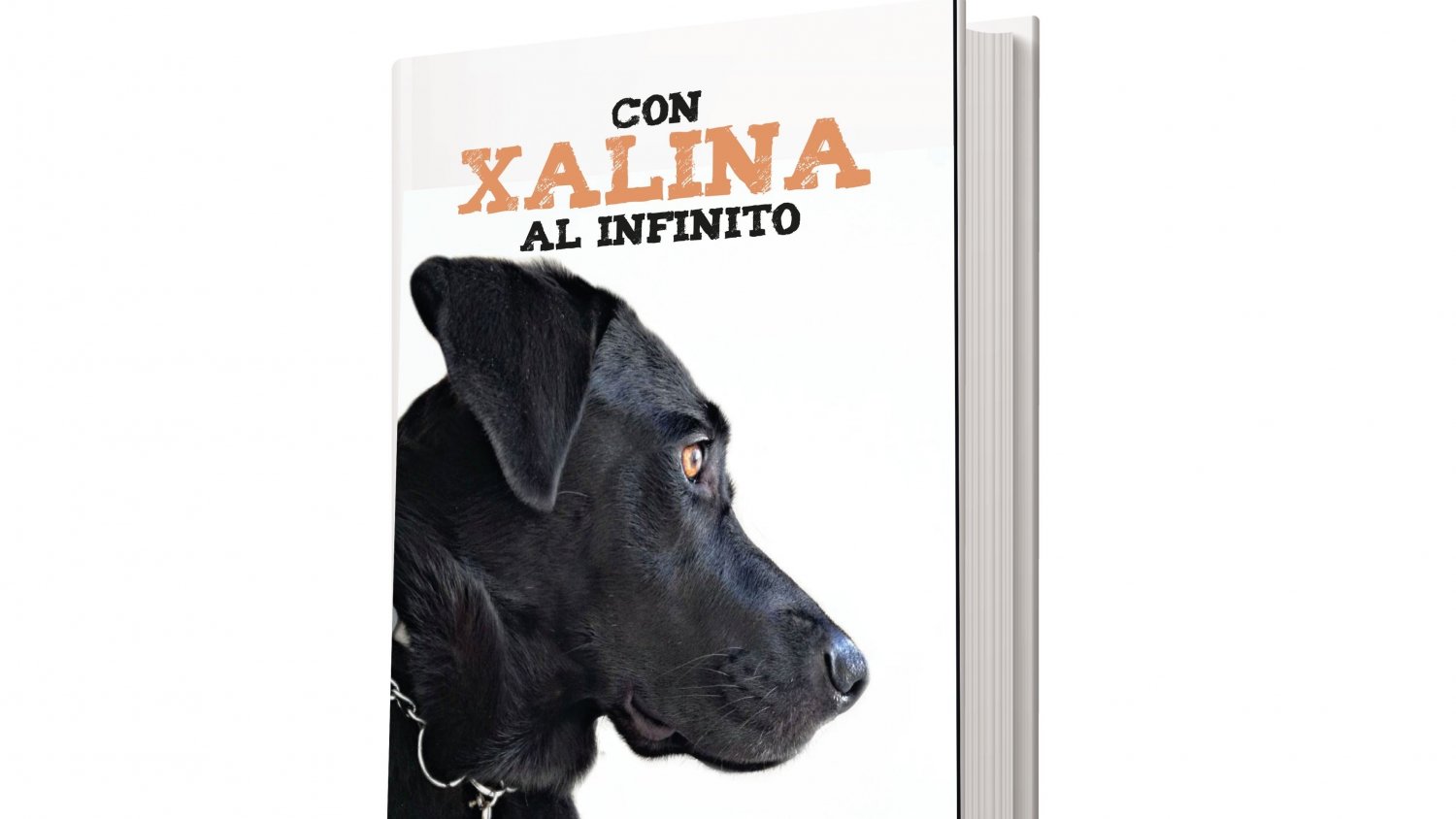 El Centro Cultural San Pedro acogerá la presentación del libro ‘Con Xalina al infinito’