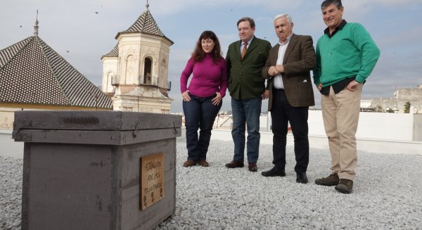 El Ayuntamiento pone en marcha en la calle Dos aceras la primera colmena urbana de polinización