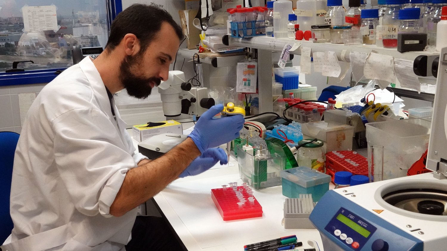 Identifican un gen esencial para la supervivencia de las plantas