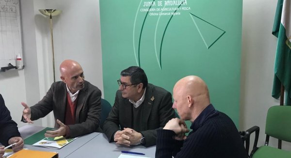 La Junta destaca la generación de empleo y riqueza del cultivo de invernadero