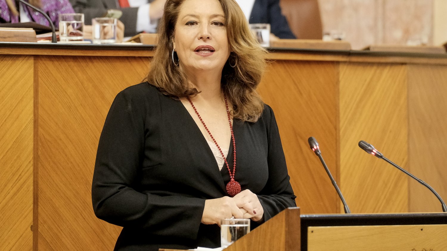 La consejera pide el apoyo del Parlamento para respaldar a los productores afectados por la guerra de Ucrania
