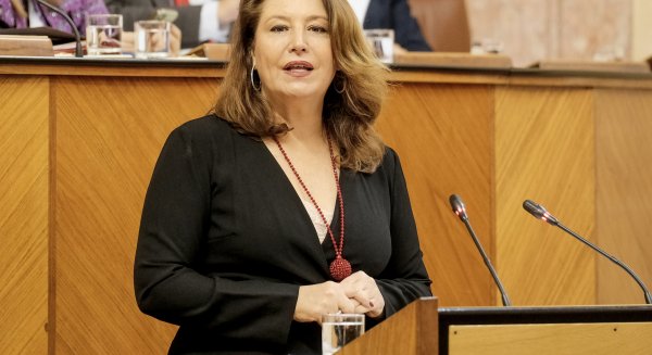 La consejera pide el apoyo del Parlamento para respaldar a los productores afectados por la guerra de Ucrania