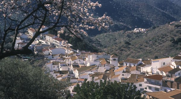 La Diputación invierte 450.000 euros en un Museo del Aceite en Cómpeta y un Centro de Estudios de la Pasa