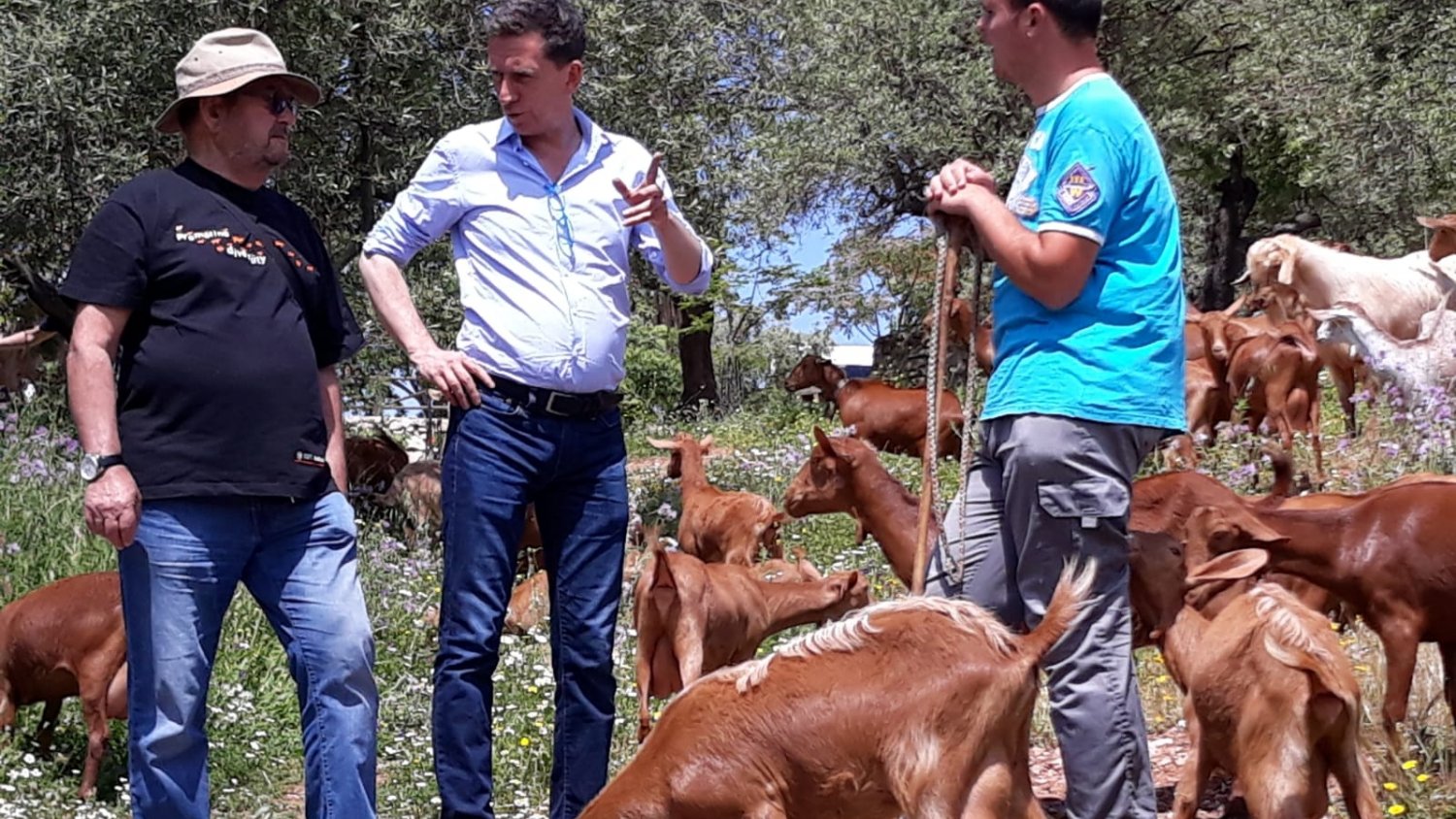 La Diputación de Málaga y Cicerones Rurales editan un manual para fomentar el agroturismo