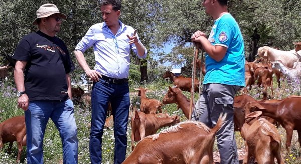 La Diputación de Málaga y Cicerones Rurales editan un manual para fomentar el agroturismo