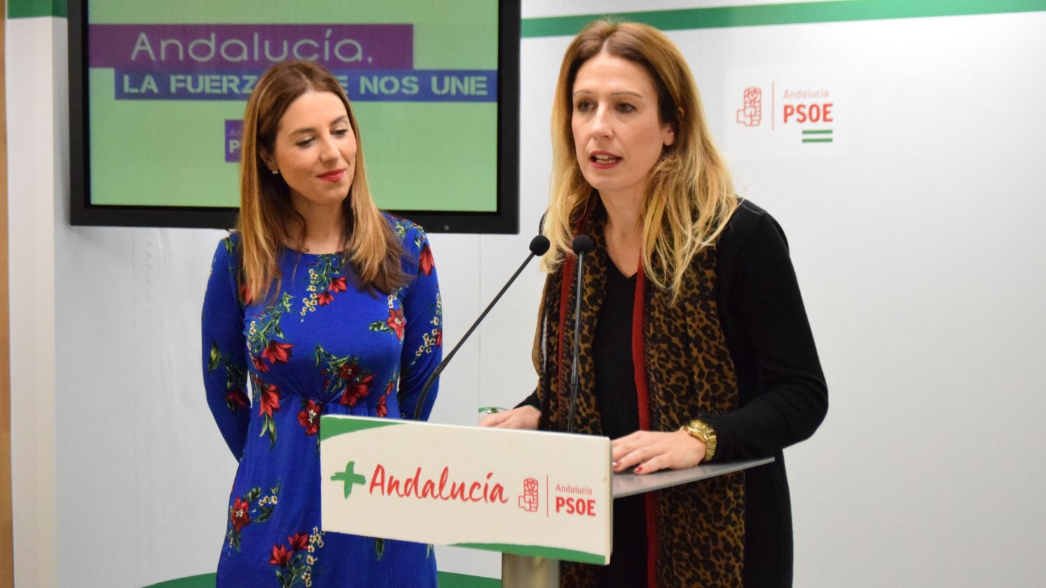 El PSOE pide en los ayuntamientos de la provincia a PP y Cs que 